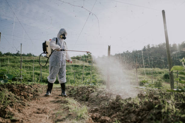 Best Pest Removal Services  in Oakley, UT