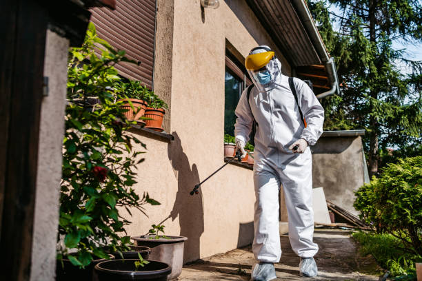 Best Spider Control Near Me  in Oakley, UT