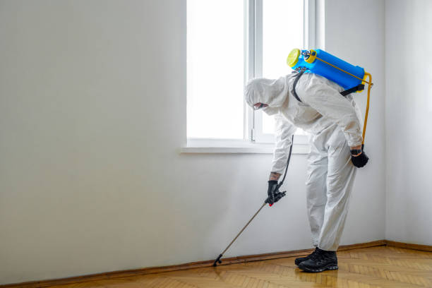 Flea Control Services in Oakley, UT