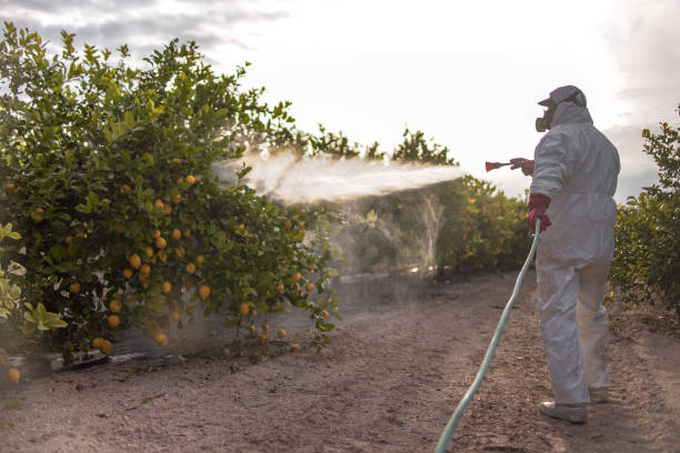 Wildlife Control Services in Oakley, UT