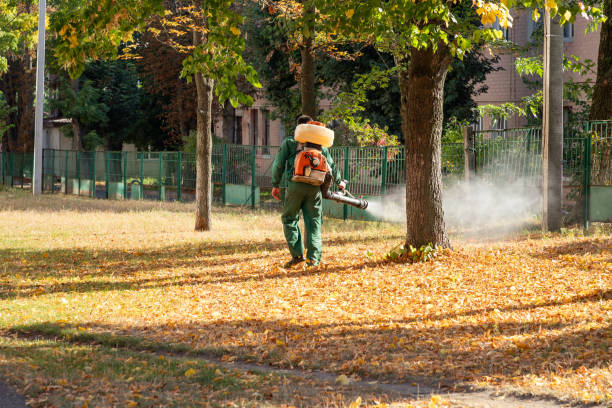 Best Mosquito Control Services  in Oakley, UT